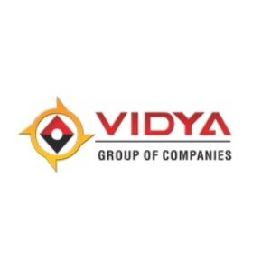 Vidya Group Of Companies developer logo