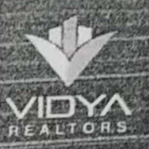 Vidya Realtors Developer Logo