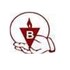 Vijay Jothi Builders Pvt Ltd Developer Logo