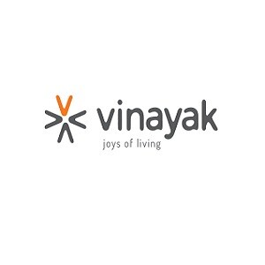 Vinayak Group developer logo