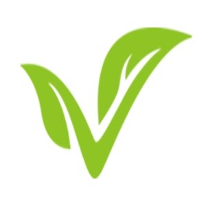 Vintage Foundations logo