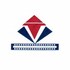 Vira Theatres Pvt Ltd Developer Logo