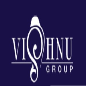 Vishnu Group Developer Logo