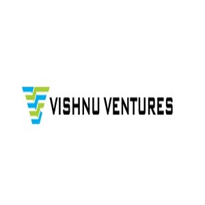 Vishnu Ventures logo
