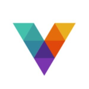 Vishwanadh Avenues Private Limited developer logo