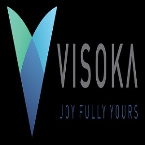 Visoka Builder Developer Logo
