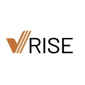 VRISE Group developer logo