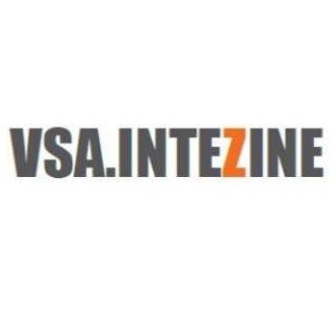 VSA Intezine LLP Developer Logo