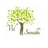 VSL Srinidhi Developer Logo