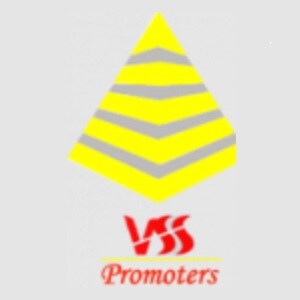 VSS Promoters developer logo