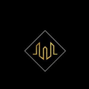 Wadhwa Constructions developer logo