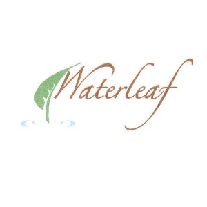 Water Leaf developer logo