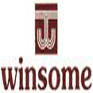 Winsome Group logo