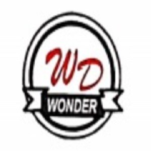 Wonder Developers Logo
