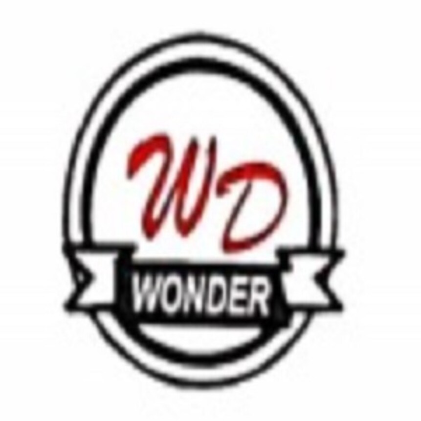 Wonder Developers