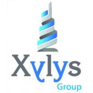 Xylys Group developer logo