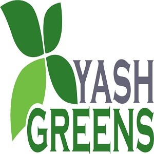 Yash Greens logo