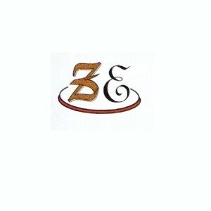 Zoeb Enterprises logo