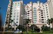 Nakheel Shoreline Apartments Al Sultana Tower View