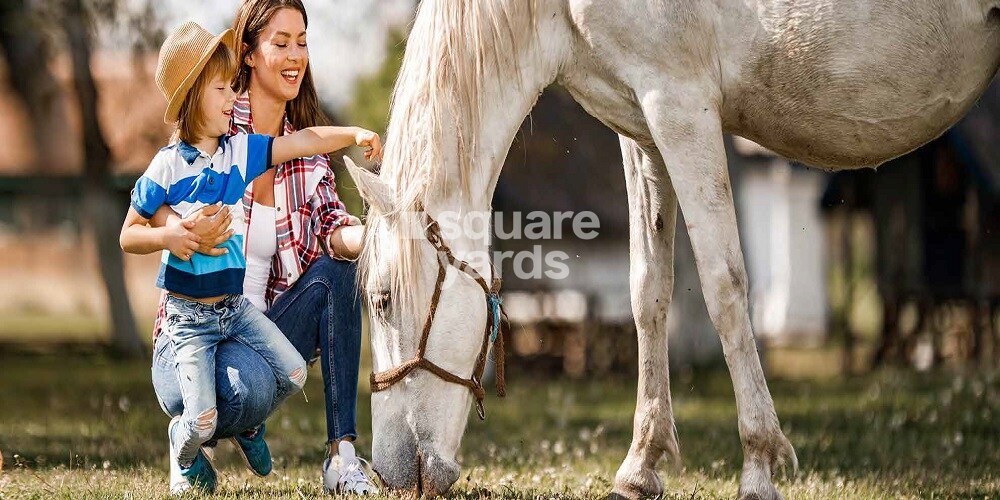 Representative image as actual visual unavailable for Damac Hills 2