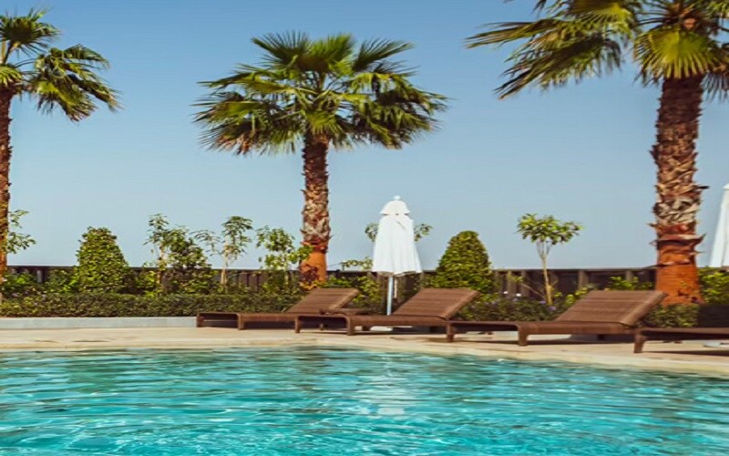 Representative image as actual visual unavailable for Damac Hills Zinnia