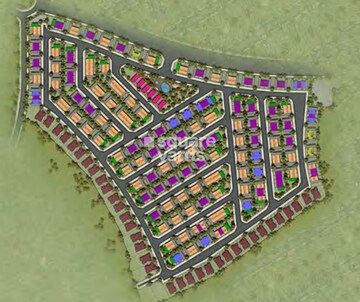 Damac Hills Zinnia