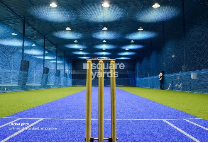 Representative image as actual visual unavailable for Danube Gemz