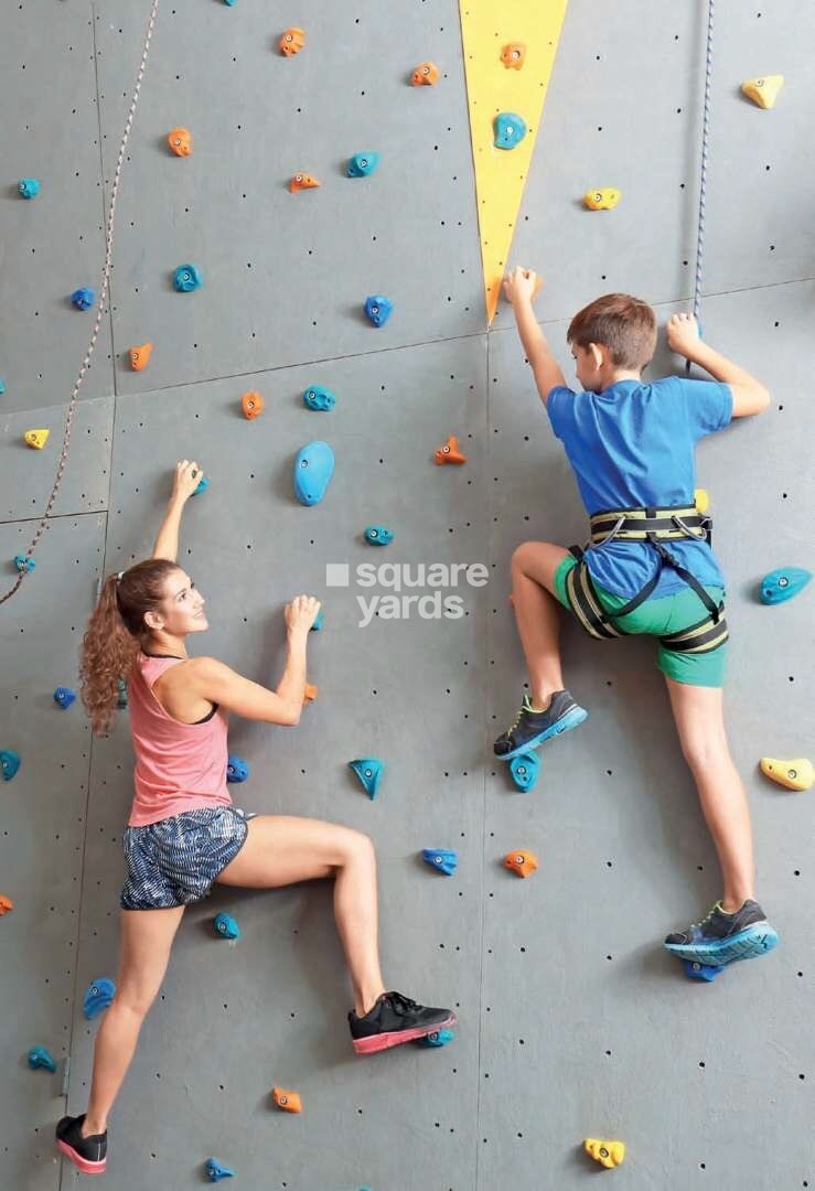 Representative image as actual visual unavailable for Danube Sportz