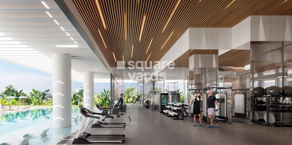 Representative image as actual visual unavailable for Deyaar Tria