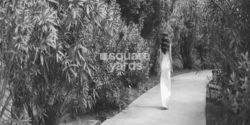 Emaar The Oasis