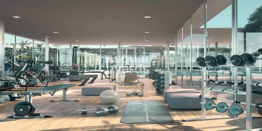 Representative image as actual visual unavailable for Reportage Verdana