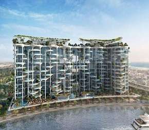 Damac Cavalli Couture Apartments, Business Bay Dubai