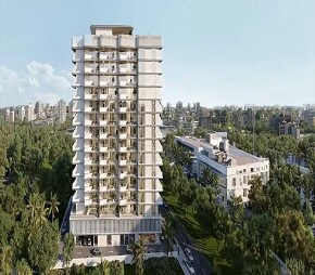 Representative image as actual visual unavailable for Imtiaz Cove Edition