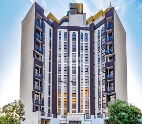 Representative image as actual visual unavailable for SOL Iris Amber