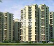 Auric City Homes