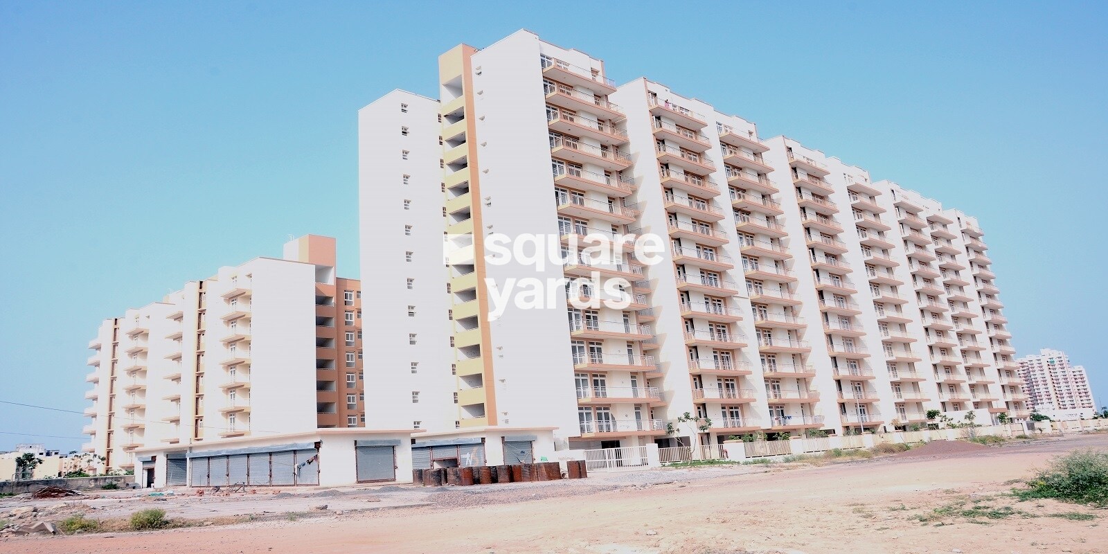 KLJ Platinum Plus Featured Image