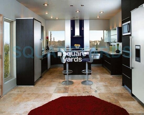 Krrish Shalimar Ibiza Town