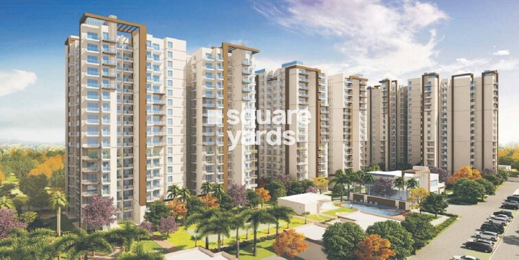 MGH Mulberry County Cover Image