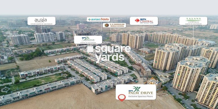 RPS Palm Drive Tower View 1