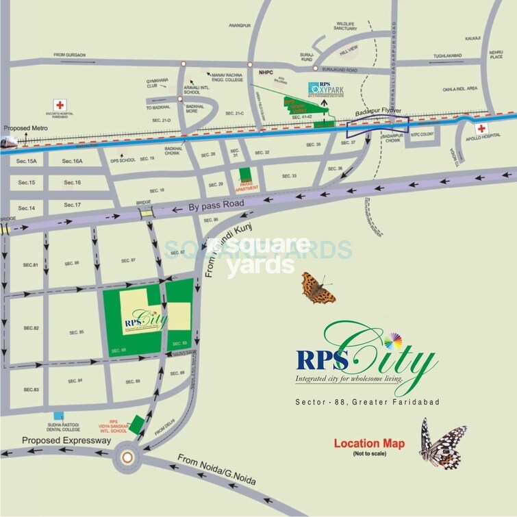 RPS Palms Location Image