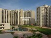 Umang Summer Palms Tower View