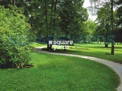 Universal Greens Greens Image