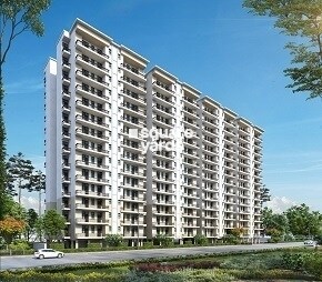 Adore Happy Homes Pride