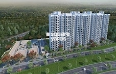 Conscient Habitat 78 Featured Image