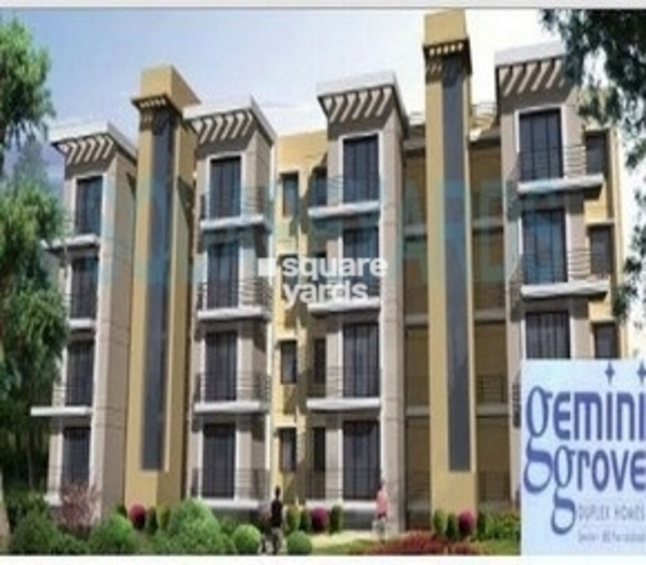 Dhingra Gemini Grove Cover Image