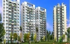 KLJ Platinum Plus Featured Image