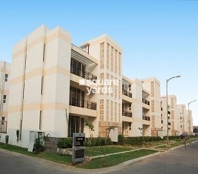 Puri VIP Floors Video