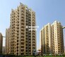 RPS Savana Flagship Image