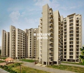 Umang Summer Palms