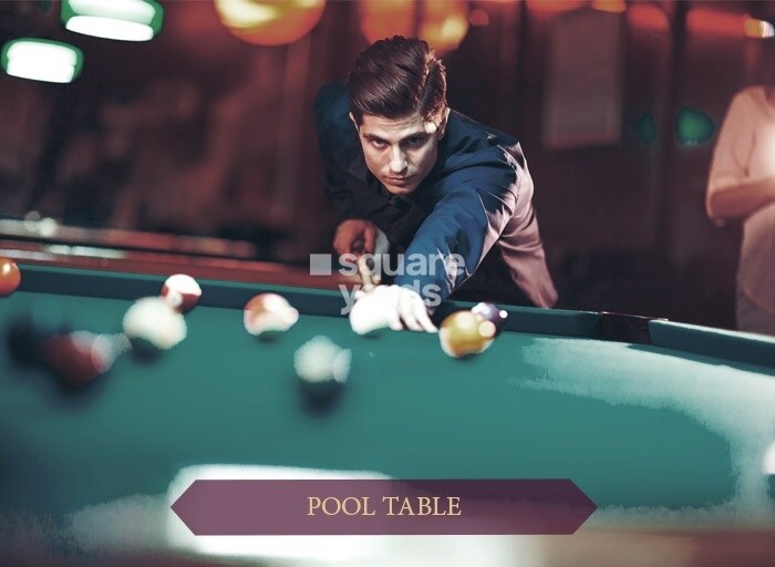 AU The Sunflower Sports facilities Image 3